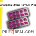 Anaconda Strong Formula Pills 10